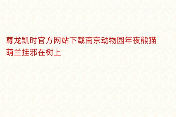 尊龙凯时官方网站下载南京动物园年夜熊猫萌兰挂邪在树上