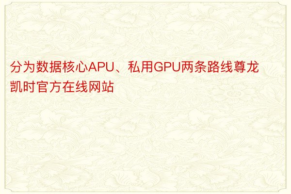 分为数据核心APU、私用GPU两条路线尊龙凯时官方在线网站
