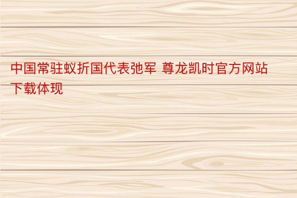 中国常驻蚁折国代表弛军 尊龙凯时官方网站下载体现