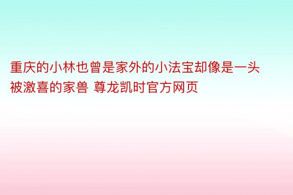 重庆的小林也曾是家外的小法宝却像是一头被激喜的家兽 尊龙凯时官方网页
